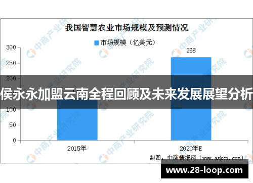 侯永永加盟云南全程回顾及未来发展展望分析